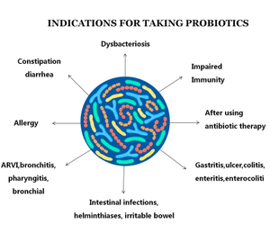 Probióticos de grado alimenticio probiótico polvo a granel alimentos lactobacillus probióticos polvo bifidobacterium lactis