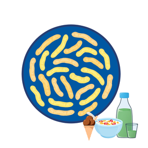 Suplemento de salud mixto Probióticos Intestinal Compuesto de oral probiótico Bebida sólida Polvo