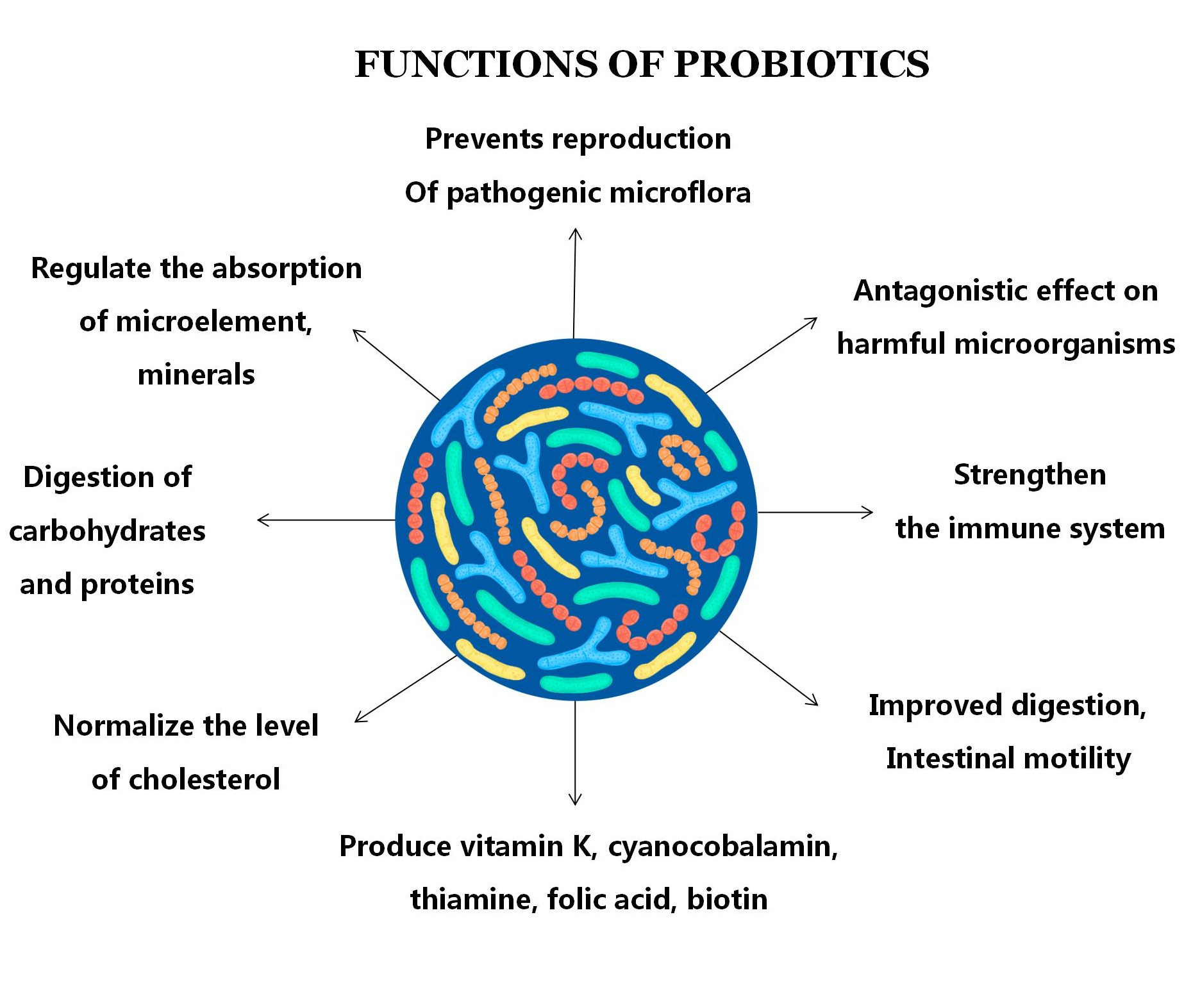 Grado Alimenticio Monostrain probióticos Bifidobacterium lactis Polvo