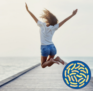 Premezcla Probiotics Powder Antiallérgico Fórmula para impulsar la inmunidad